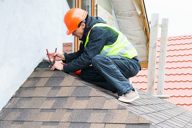 Best Gutter Installation and Roofing  in Lake Cassidy, WA
