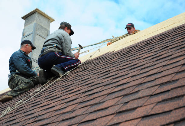 Roof Waterproofing Services in Lake Cassidy, WA