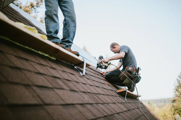 Best Roof Leak Repair  in Lake Cassidy, WA